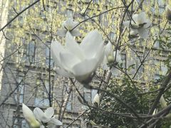 -西安市长乐公园