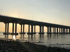 -宝安西湾红树林湿地公园