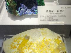 -湖南省地质博物馆