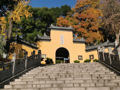 -鸡鸣赐茶(鸡鸣寺路店)