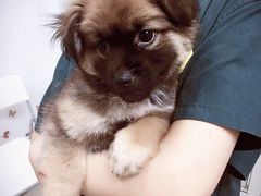 -康乐宝动物医院