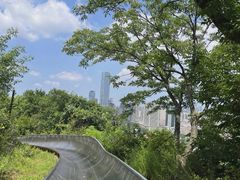 -富斯特索道