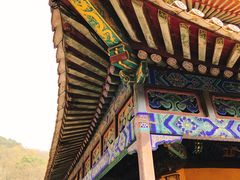 -普陀山风景名胜区-法雨禅寺
