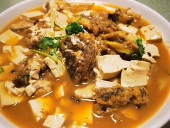 -煲来饱去冷水鱼