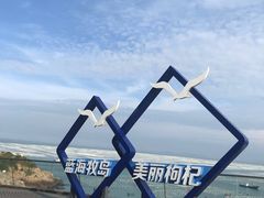 -枸杞岛