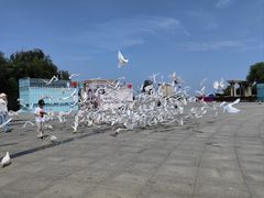 -泰达航母主题公园