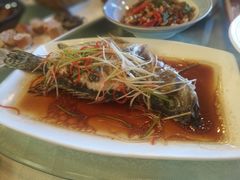 -食家鸽园