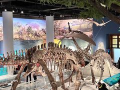 -国家自然博物馆