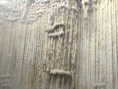 -仁爱团泊湖温泉中心
