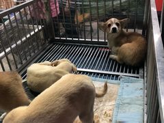 -塔湾北行农贸市场