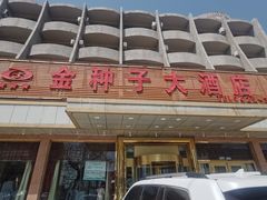 -金种子大酒店