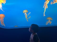 -太平洋海底世界