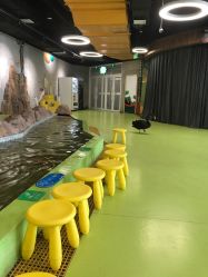 -七巧国萌宠乐园(龙湖天街店)