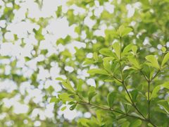 -朴厝私房菜(鼓浪屿店)