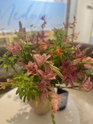 -韩辰医疗美容医院