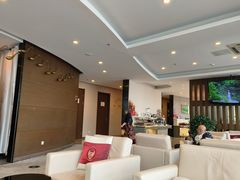 -桃仙机场头等舱休息室