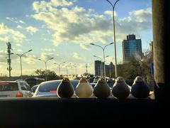 -蔚来体验中心(北京亦庄店)