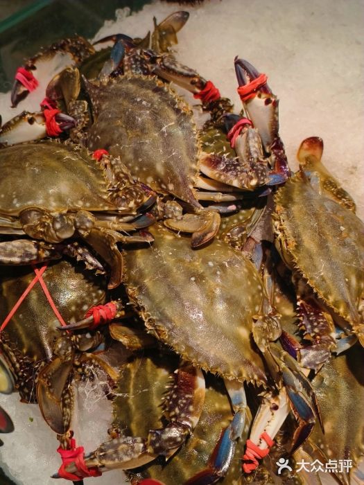 渔娘渔家丹东海鲜(东直门店)图片