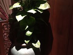 景观位-绿茶餐厅(布吉万象汇店)