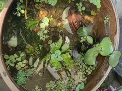 -川匠·睡眠采耳·SPA(九眼桥店)