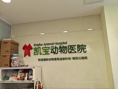 -悦宠凯宝动物医院·牙科·皮肤科(朝阳北路店)