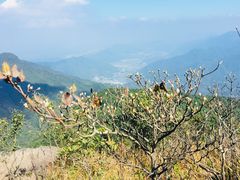 -鸡枕山