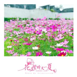 -太湖雪蚕桑文化园