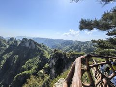 -王莽岭风景区