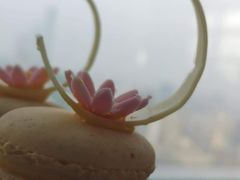 -上海明天广场JW万豪酒店