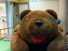 -济州岛泰迪熊博物馆