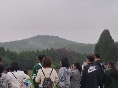 -秦始皇帝陵博物院-丽山园