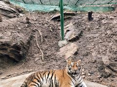 -栾川竹海野生动物园