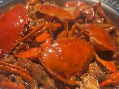 -胖哥俩肉蟹煲(济南世茂国际广场店)