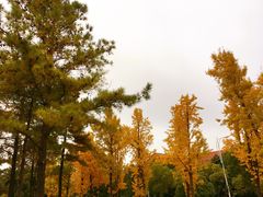 -美兰湖景区