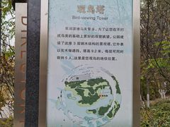 -翠湖国家城市湿地公园