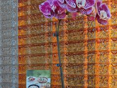 -OGGI TRATTORIA PIZZERIA(深业上城店)