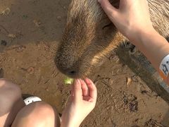 -合肥野生动物园