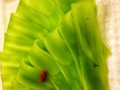 青笋片-老码头火锅(玉林店)