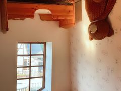 -金山农民画村-枫泾波兰倒置屋