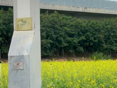 -光明小镇欢乐田园