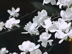 -杭州上天竺法喜讲寺