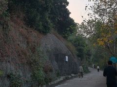 -小南山公园