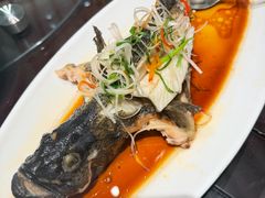 老虎斑-梅龙镇酒家(南京西路总店)