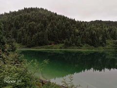 -武陵山森林公园