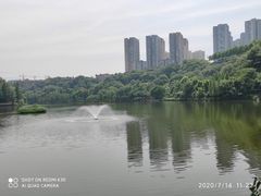 -重庆彩云湖湿地公园