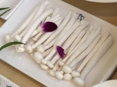 白玉菇-甘尼仕印度餐厅爵士酒吧(阳春巷店)