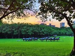 -广州雕塑公园