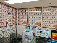 -立德动物医院·异宠·CT·鹦鹉(天河店)