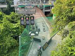 -圣淘沙天际线斜坡滑车