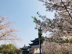 -苏州上方山国家森林公园